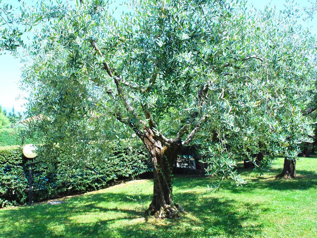 Corte degli Olivi Appartamenti Manerba del Garda Camera foto